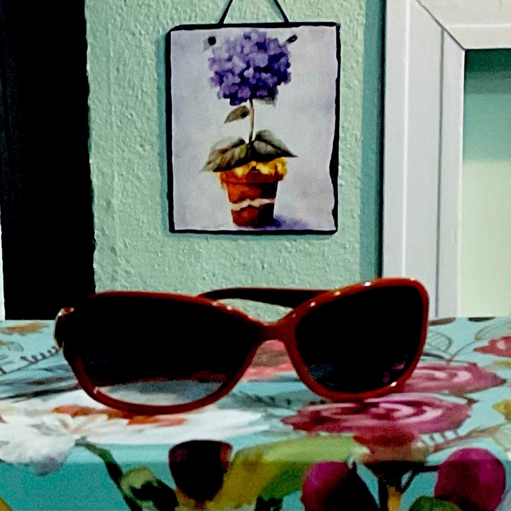 NWT MARC by MARC JACOBS BURGUNDY SUNGLASSES